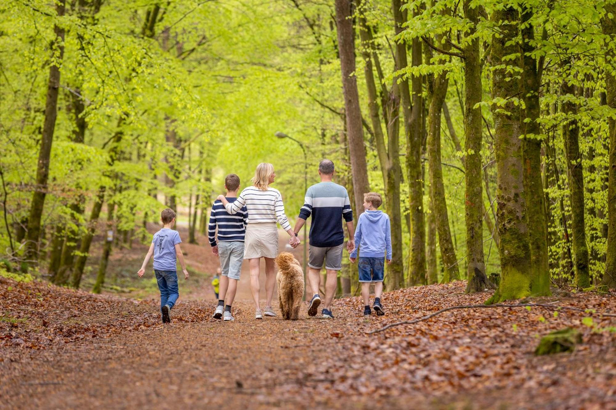 Ardennen Camping Бертри Экстерьер фото